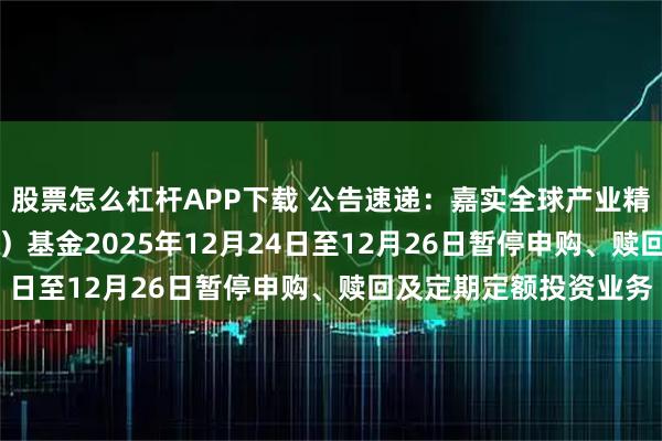 股票怎么杠杆APP下载 公告速递：嘉实全球产业精选混合发起式（QDII）基金2025年12月24日至12月26日暂停申购、赎回及定期定额投资业务