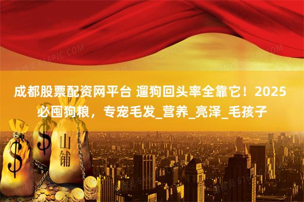成都股票配资网平台 遛狗回头率全靠它！2025 必囤狗粮，专宠毛发_营养_亮泽_毛孩子
