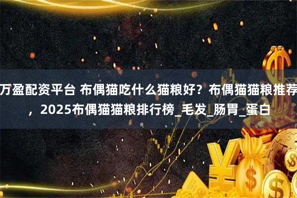 万盈配资平台 布偶猫吃什么猫粮好？布偶猫猫粮推荐，2025布偶猫猫粮排行榜_毛发_肠胃_蛋白