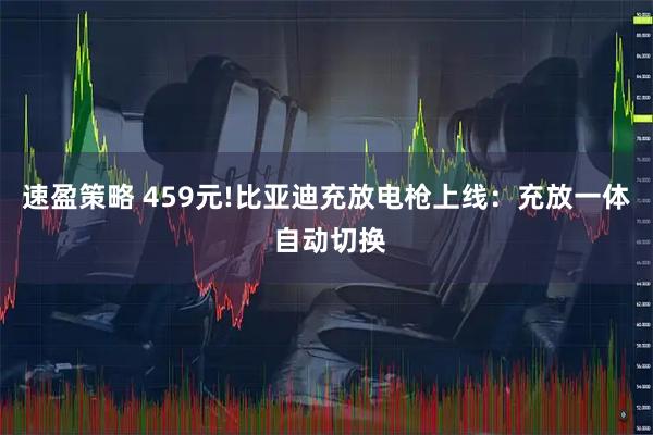 速盈策略 459元!比亚迪充放电枪上线：充放一体 自动切换