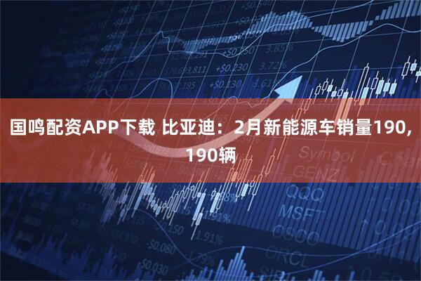 国鸣配资APP下载 比亚迪：2月新能源车销量190,190辆
